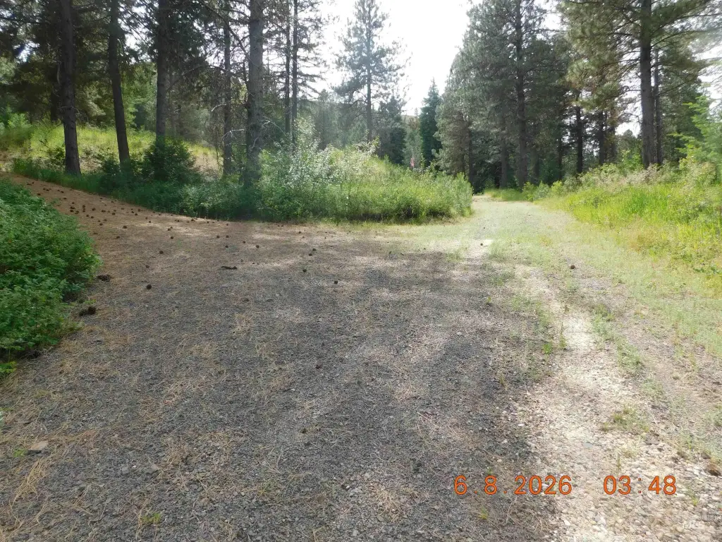 Picture 11