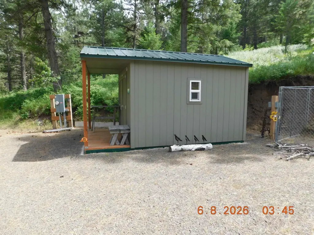 Picture 6