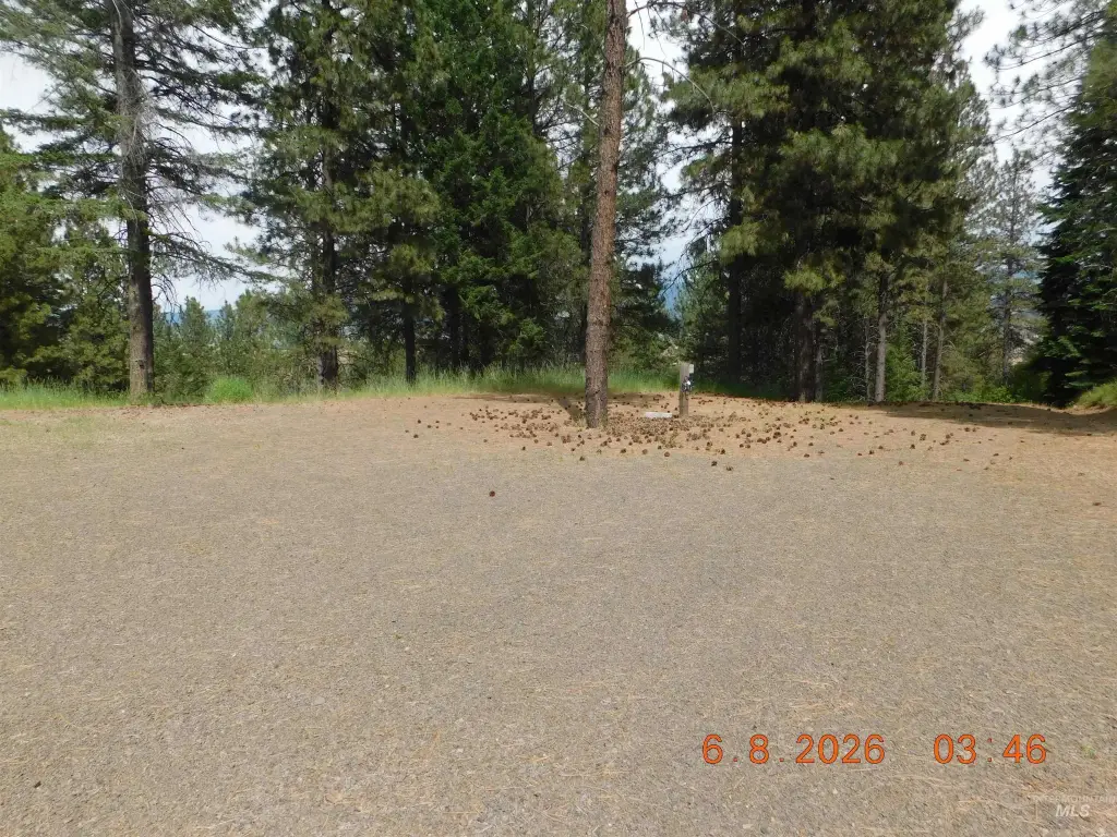Picture 9