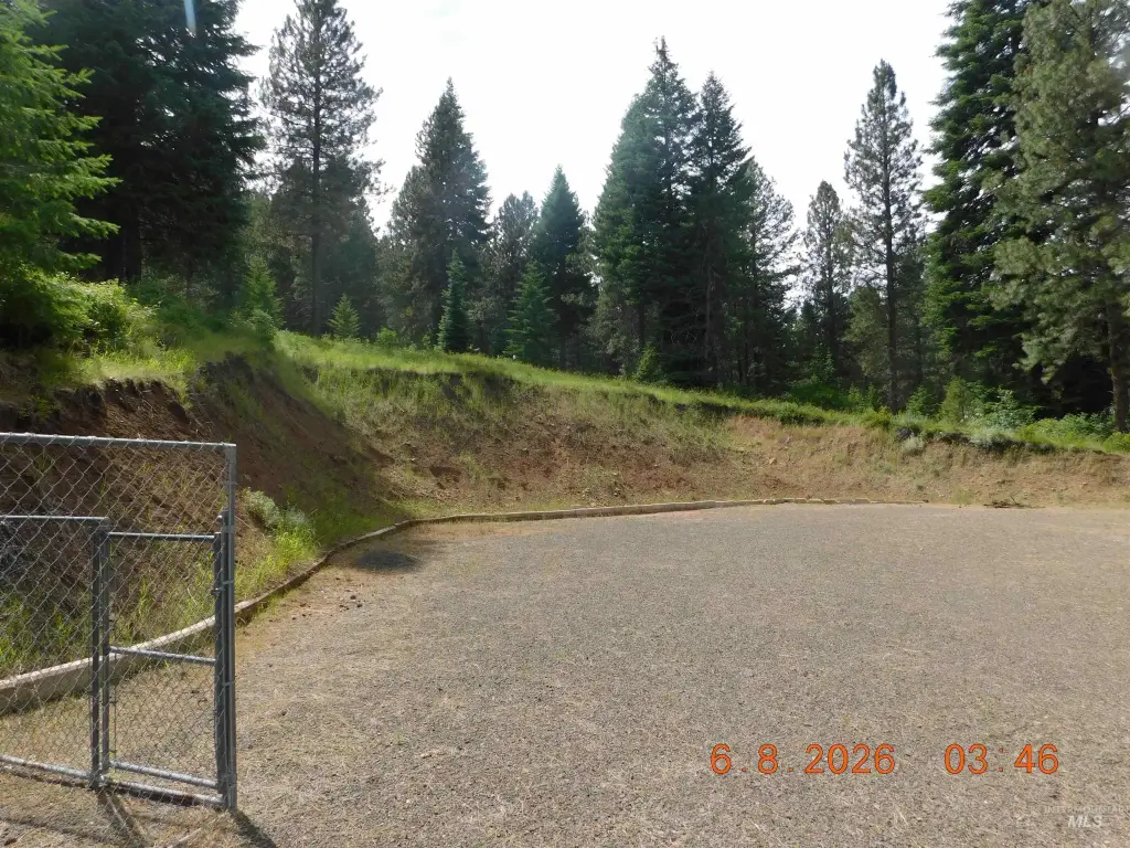 Picture 8