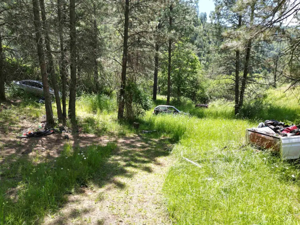 Picture 21