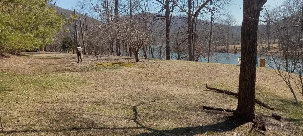 Picture 3