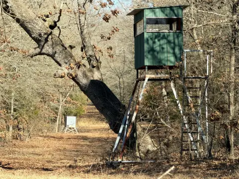 Wooded Hunting Land with Residence