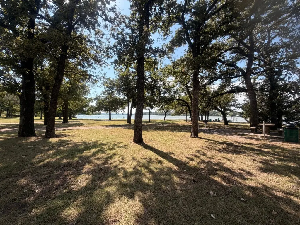 Picture 38