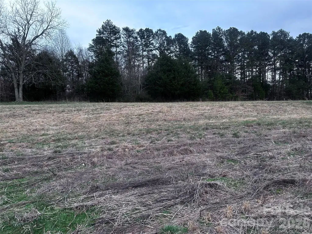 Picture 3