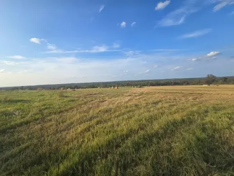 East Texas Unrestricted Acreage