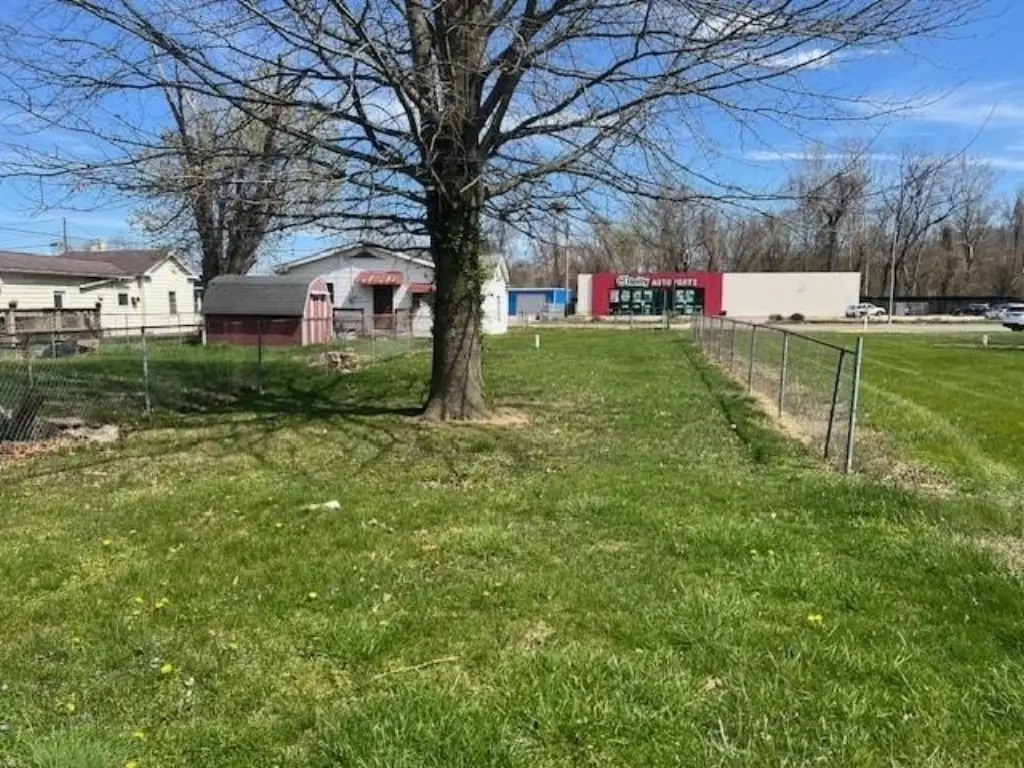 Picture 5