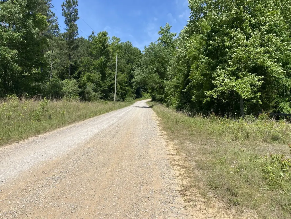 Picture 21