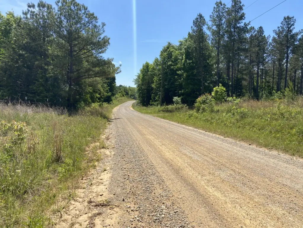 Picture 22