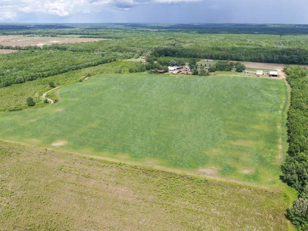 Picture 17