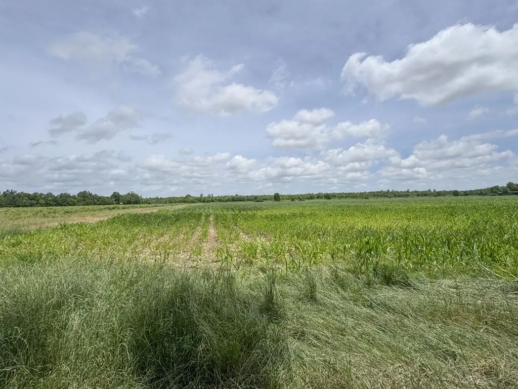 Picture 38
