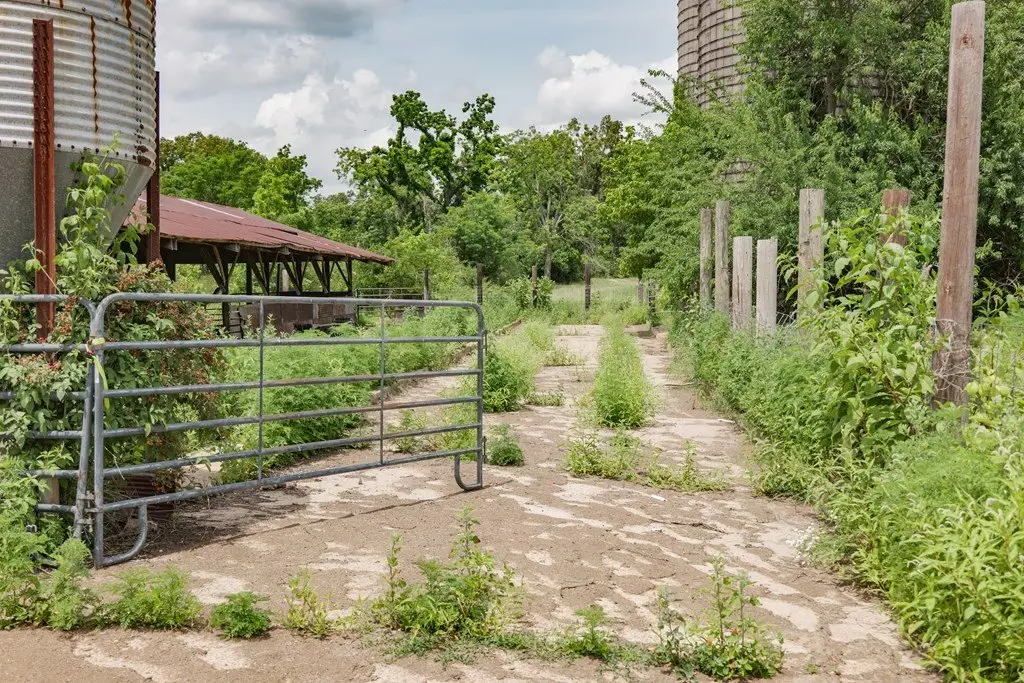 Picture 25