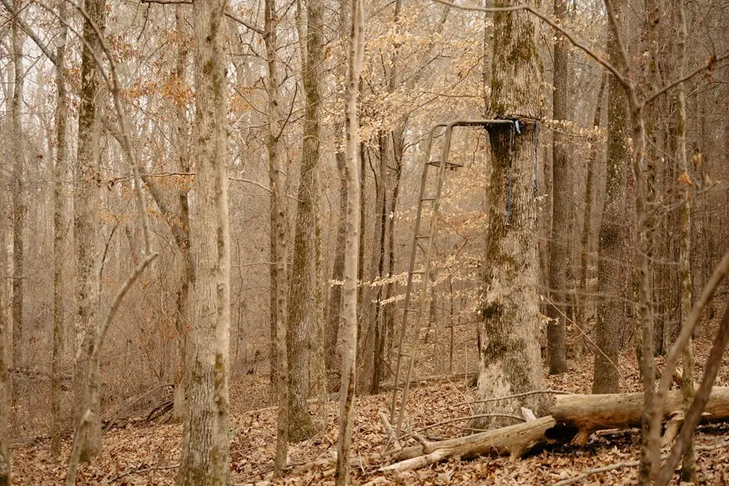 Picture 14
