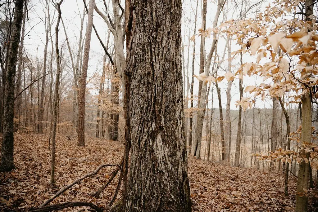 Picture 4