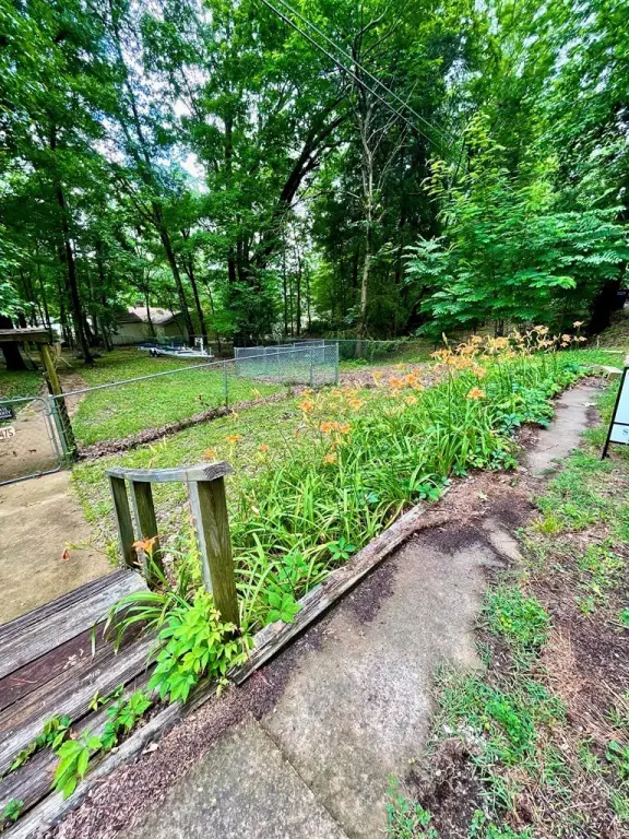 Picture 8