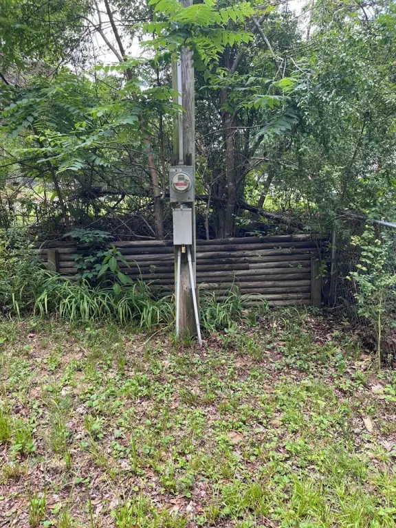 Picture 21