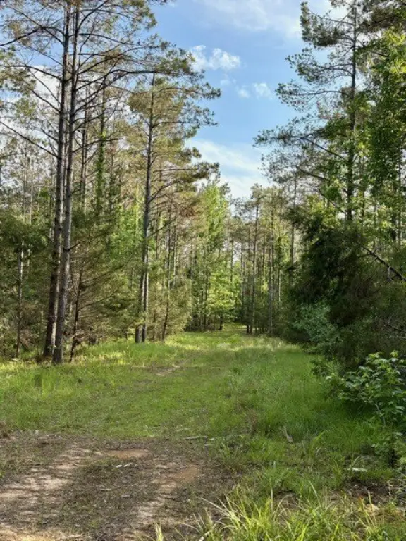 Picture 16