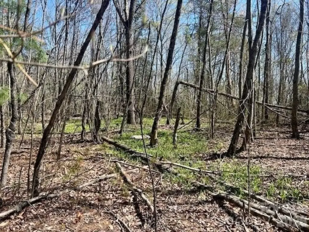 Picture 4