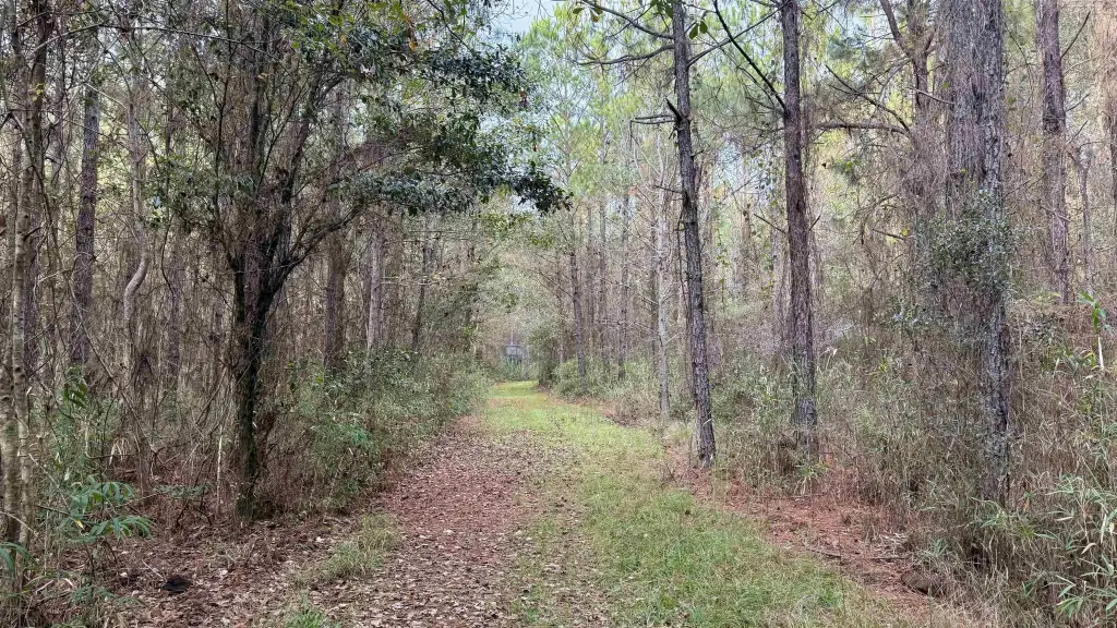 Picture 48