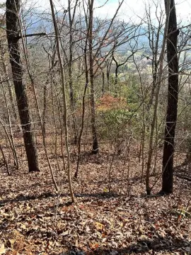 Mountain Harbour Lot in Hayesville