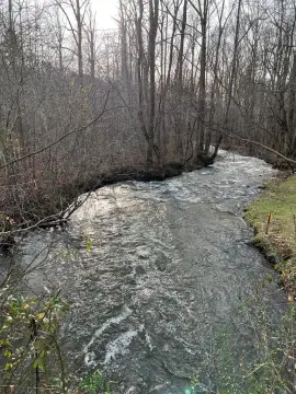 Creekfront Land in Hayesville, NC