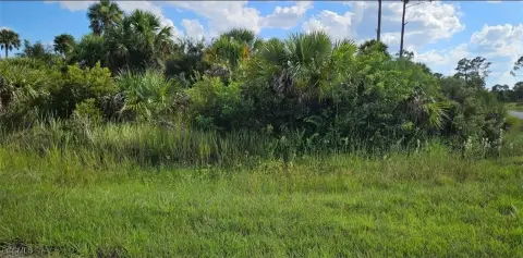 Residential Lot in North Port