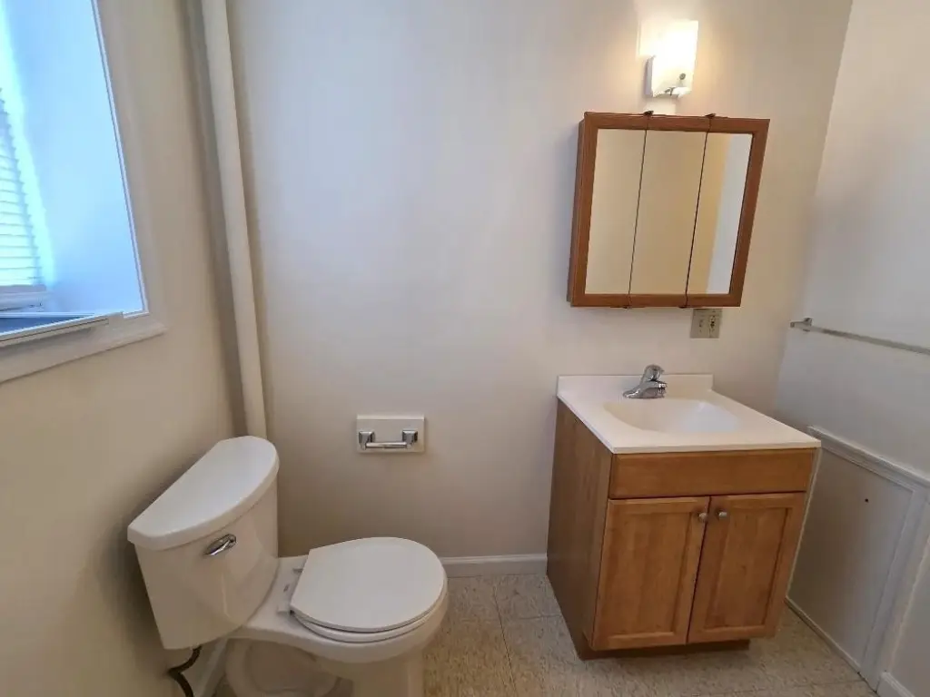 Picture 19