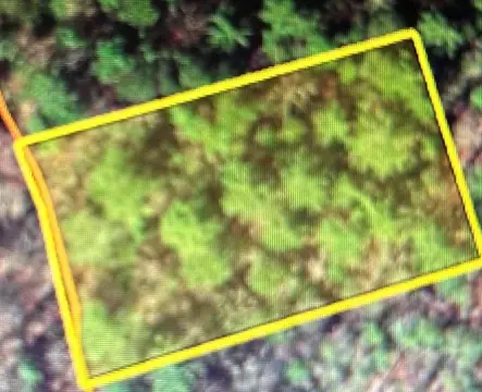 Land Near Lake Hiwassee