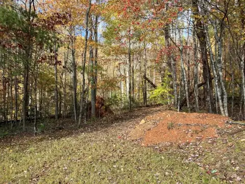 Unrestricted Land in Murphy, NC