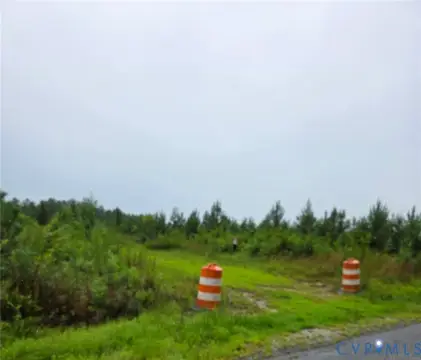 Rural Land with Mixed Plantings