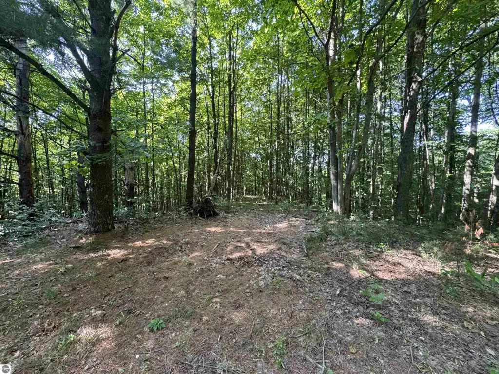 Picture 25