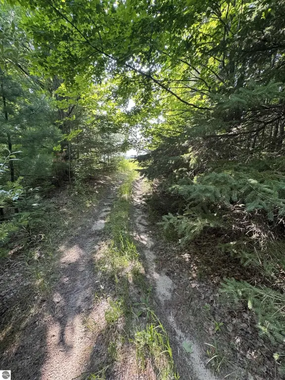 Picture 35
