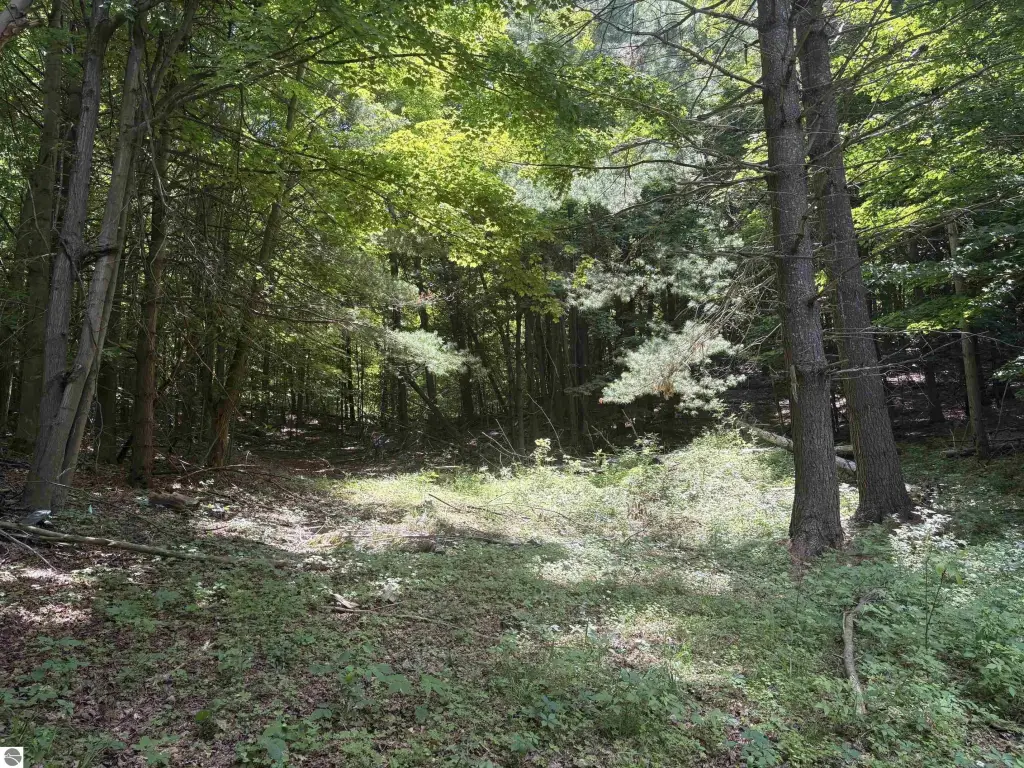 Picture 24