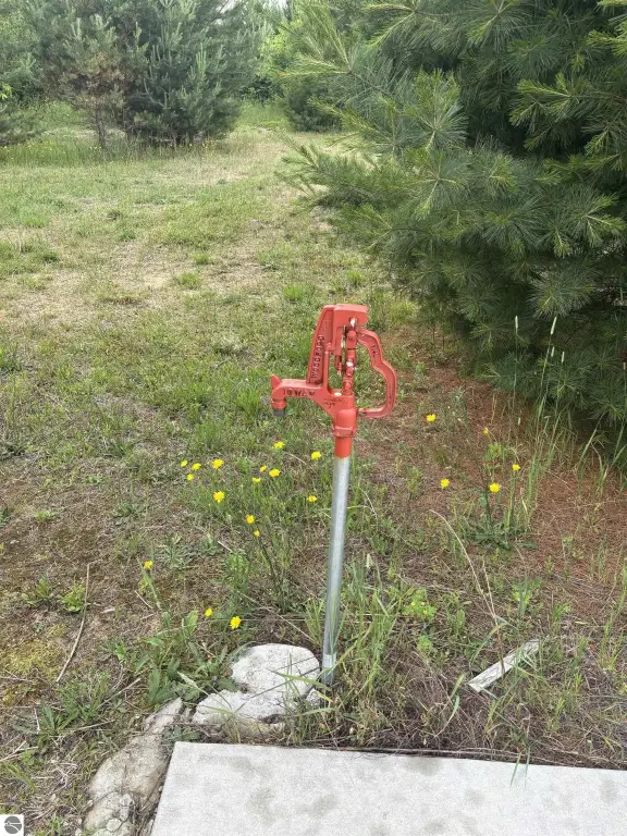 Picture 23