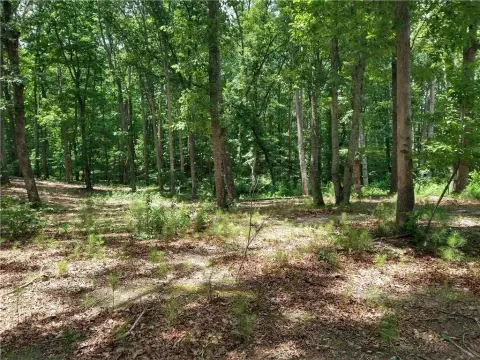 East Cobb Land Opportunity