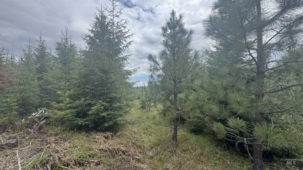 Picture 38