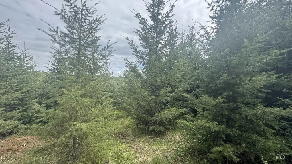 Picture 20
