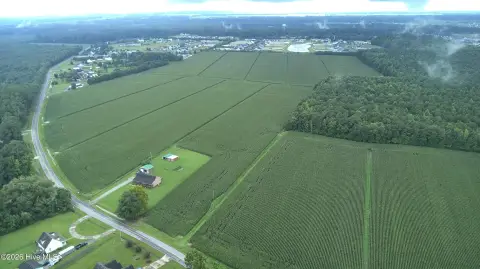 Cleared Agricultural Land