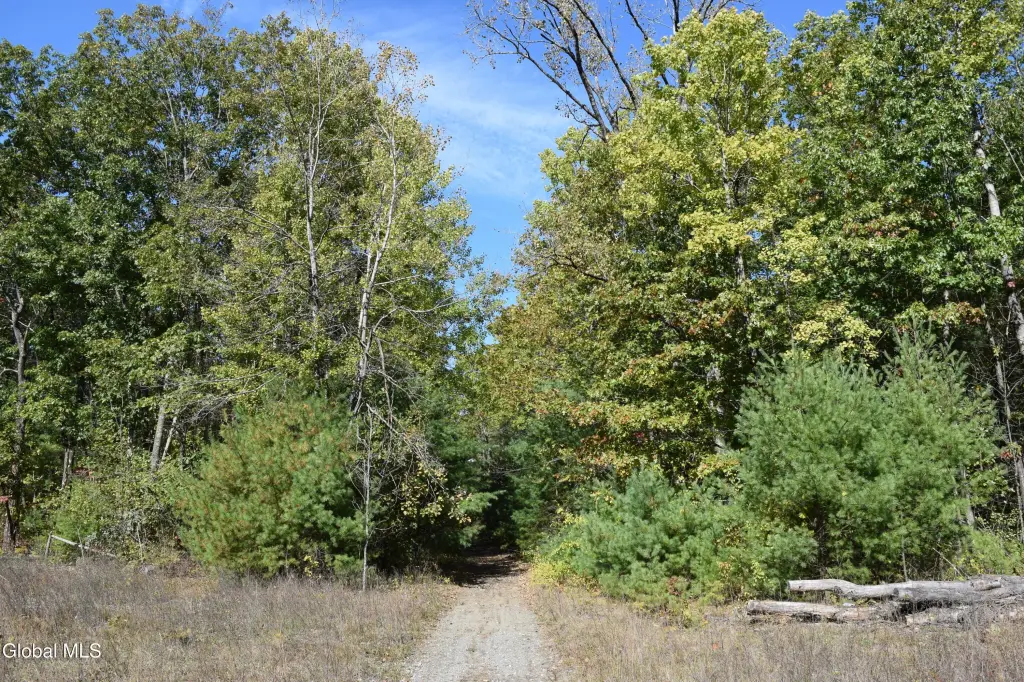 Picture 7