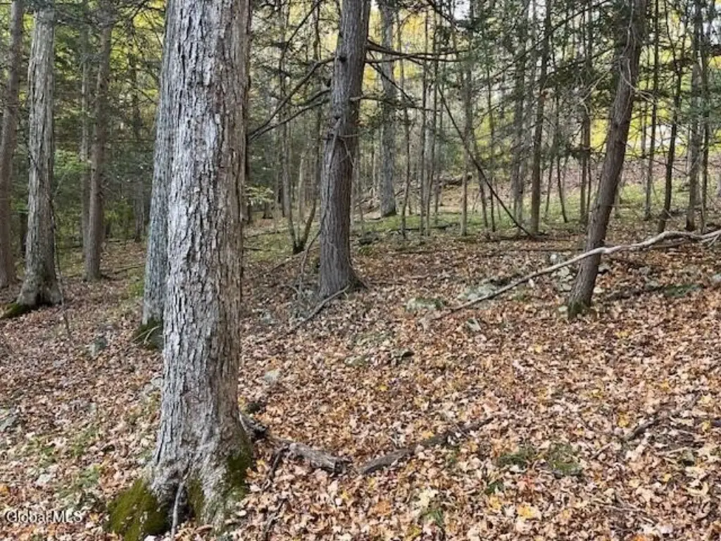 Picture 15