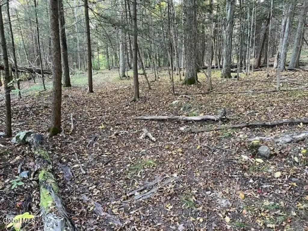 Picture 11