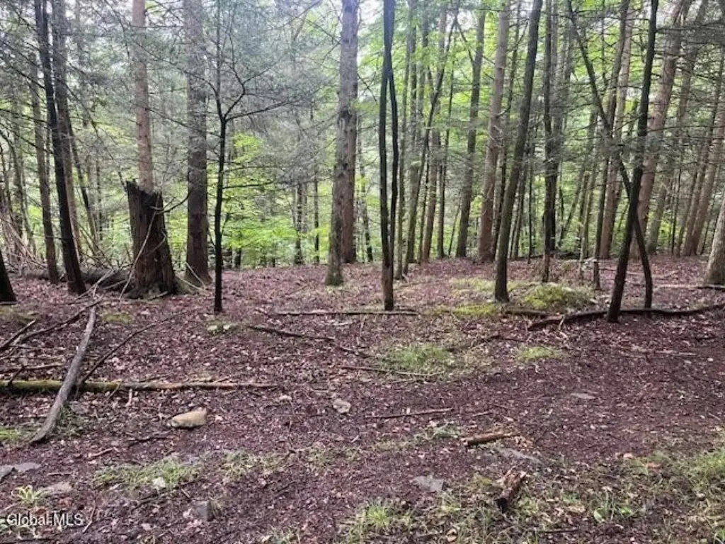 Picture 31
