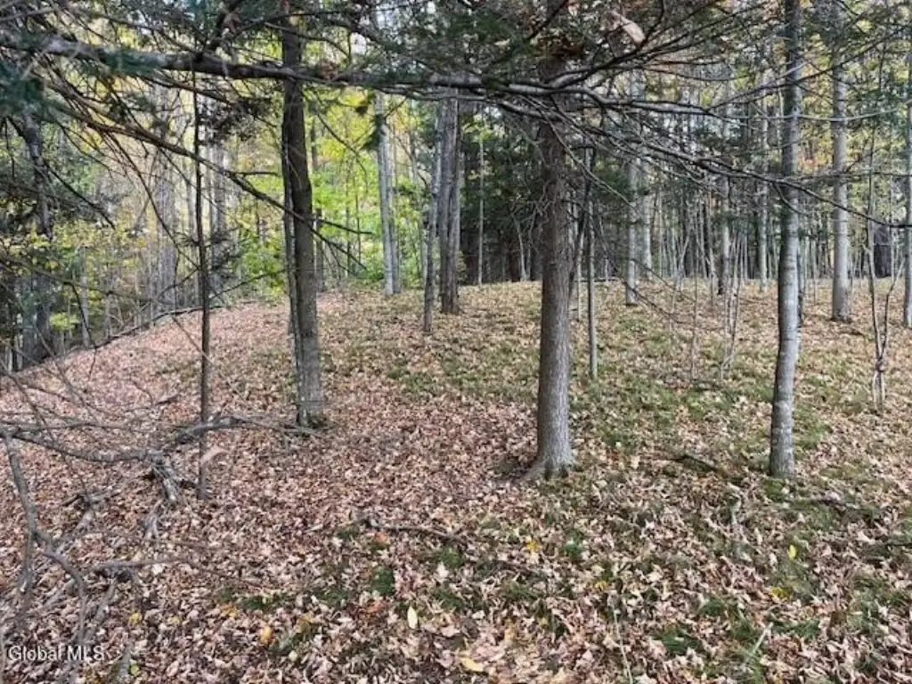 Picture 5