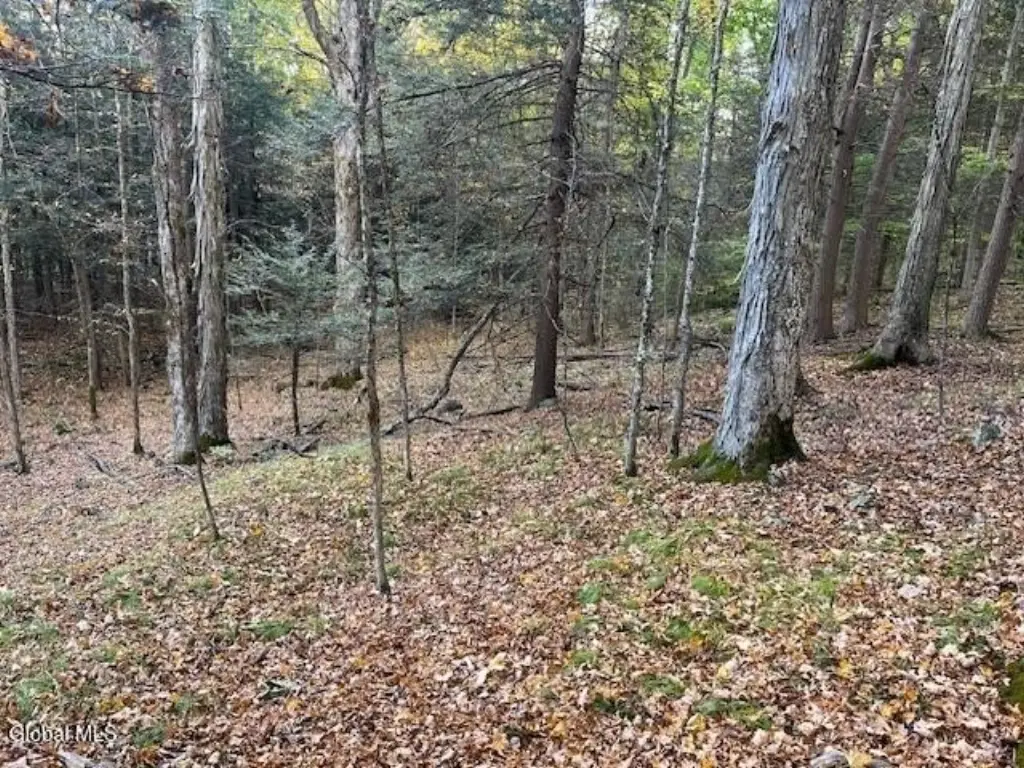 Picture 14