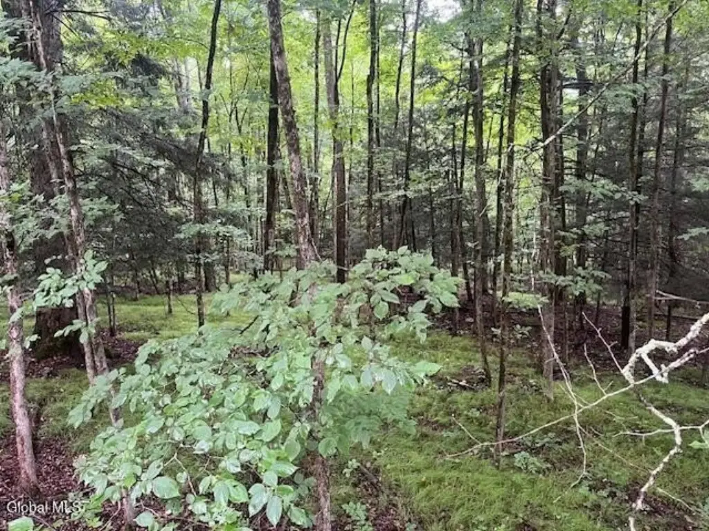 Picture 23