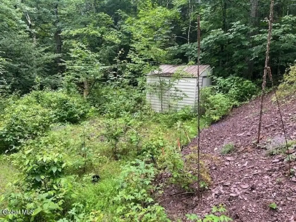 Picture 21