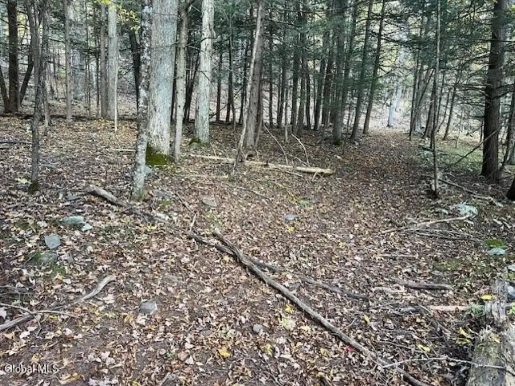 Picture 13