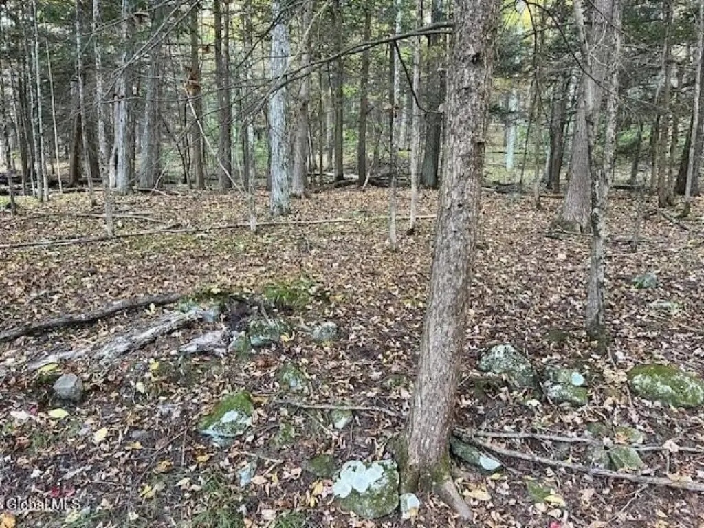Picture 12