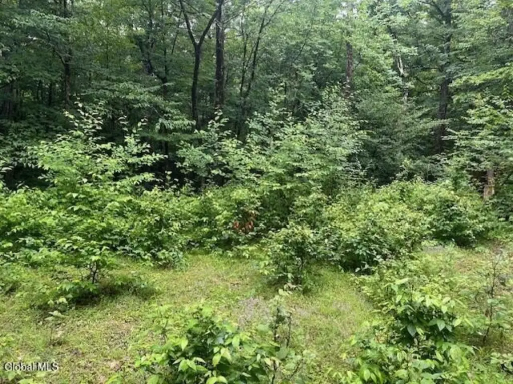 Picture 22