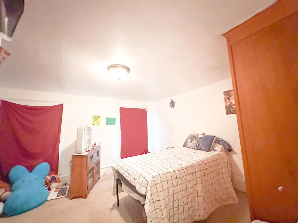 Picture 16
